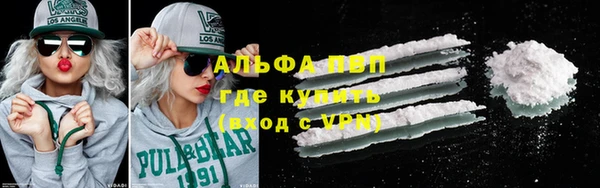 твердый Новокубанск