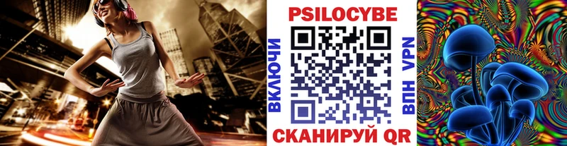 Псилоцибиновые грибы GOLDEN TEACHER Ленинск-Кузнецкий